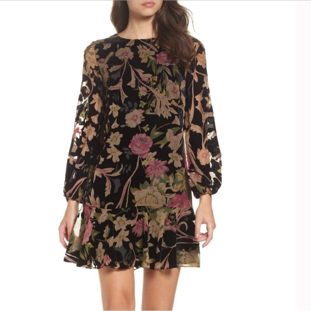 Eliza J velvet burnout balloons sleeve floral black long sleeve mini dress Sz 4